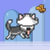 play Mr Jump Husky