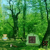 play Escape From Coniferous Landscape