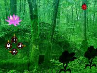 play Escape From Coniferous Landscape