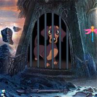 play Purebred Dachshund Rescue