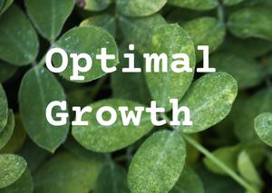 play Optimal Growth