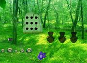 play Escape From Coniferous Landscape
