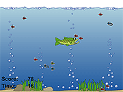 play A Day In Water