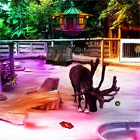 play Top10 Newgames Find The Ring From Zoo