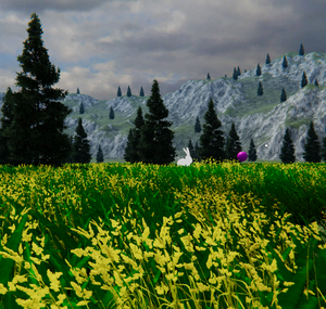 play Bunny Meadow