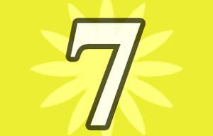 play Number 7