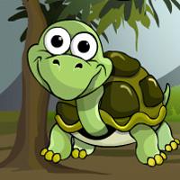 play Escape-The-Tortoise-Gameszone15