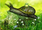 play Games2Rule Snail Forest Escape