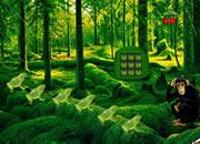 play Chimpanzee Tangled Escape