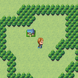 play The Quest