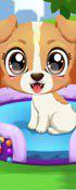 play Puppy Fun Care