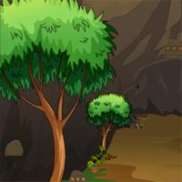 play Knfgame Rescue The Girl From Forest Cave