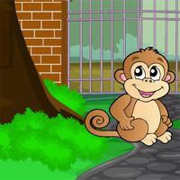 play Avm-Bubble-Monkey-Escape