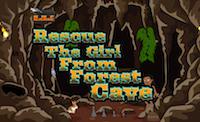 Rescue The Girl From Forest Cave