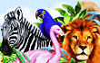 play Animal Quiz