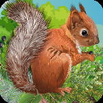 play Zoozoo Squirrel Escape