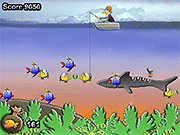 play Go Fishing