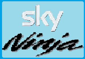 play Sky Ninja