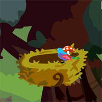 play Jungle-Forest-Escape-Tollfreegames