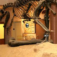 play Prehistoric-Museum-Escape