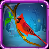 G4E Red Cardinal Rescue