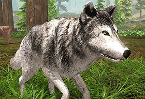 play Wolf Simulator Wild Animals 3D