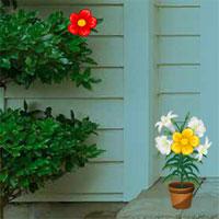 play Exciting House Escape