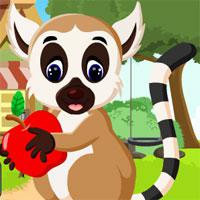play G4K-Cute-Lemur-Rescue