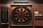 play Pub Darts 501