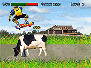 play Skater Mania