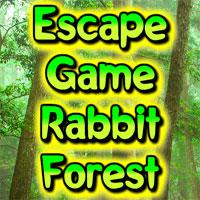 play Escape Game Rabbit Forest