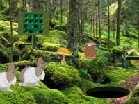 play Escape Game Rabbit Forest
