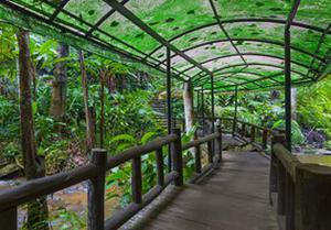 play Nursery Garden