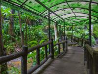 play Nursery Garden