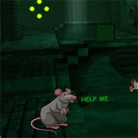 play Escape Game: Save The Rat