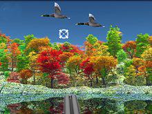 Duck Hunter Autumn Forest