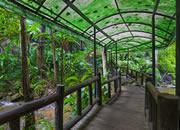 play Nursery Garden