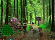 play Wood Land Escape
