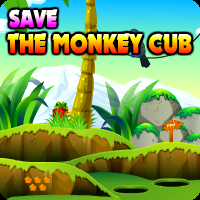 play Save The Monkey Cub