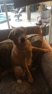 play Kitchen_Prototype