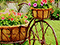 Flower Garden Solitaire