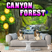 Canyon Forest Escape