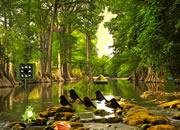 play River Side