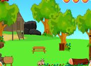 play Arabian Horse Escape