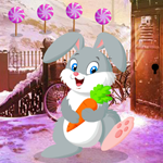 Cute Rabbit Rescue