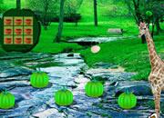 play Giraffe Lake Forest Escape