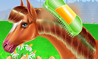 play Horse Care And Riding