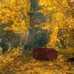 play Easy Yellowish Forest Escape