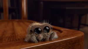 play Flying Spider Rpg