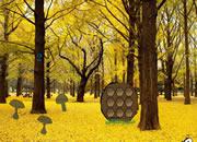 play Easy Yellowish Forest Escape